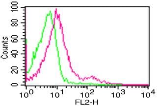 Monoclonal Mouse anti-Human FCGR3A / CD16A Antibody (clone CB16)