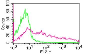 CCR5 Antibody (clone 12D1)