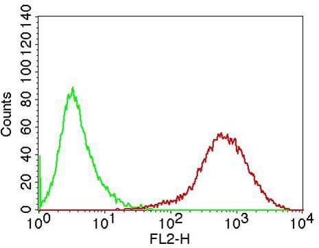 CD20 Antibody (clone B9E9)