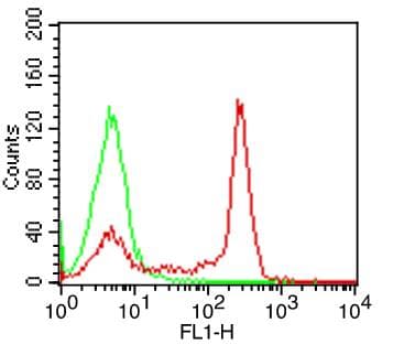Monoclonal Mouse anti-Human CD4 Antibody (clone OKT4)