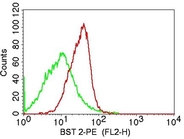 Monoclonal Mouse anti-Rat BST2 Antibody (WB)