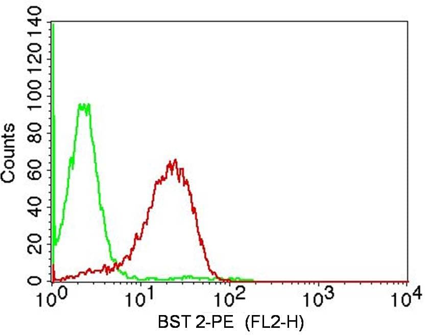Monoclonal Mouse anti-Rat BST2 Antibody (WB)