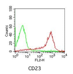 FCER2 / CD23 Antibody (clone 152-5E5)