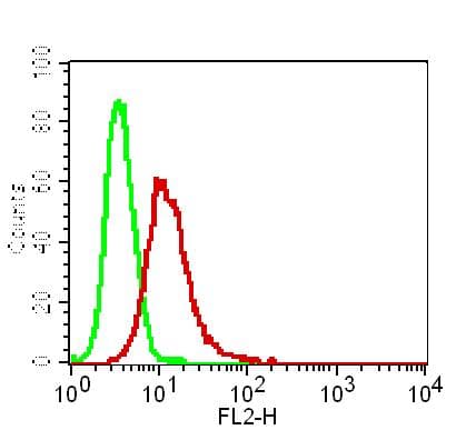 Monoclonal Mouse anti-Mouse DFFB Antibody (WB)