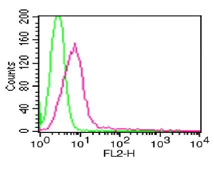 Monoclonal Mouse anti-Human EPCAM Antibody (WB)