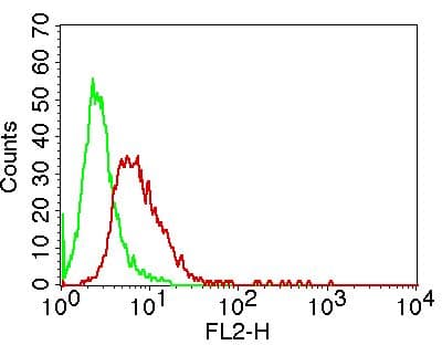 Monoclonal Mouse anti-Human MSI1 / Musashi 1 Antibody (WB)