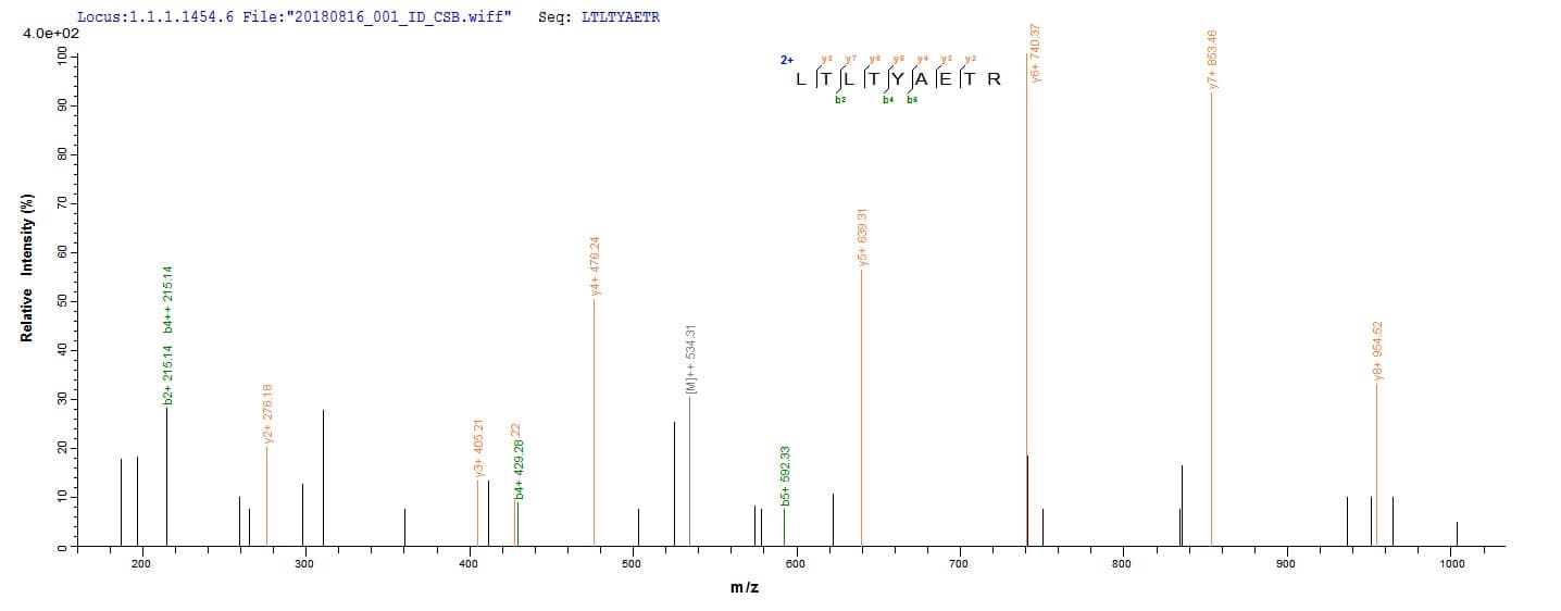 E. coli uvrD Protein (Recombinant)