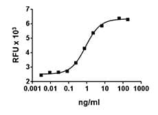 Human BAFF / TNFSF13B Protein (Recombinant)
