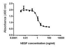 Human EGF Protein (Recombinant)