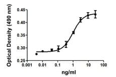 Human VEGF 121 Protein (Recombinant)