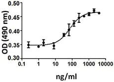 Human VEGFC Protein (Recombinant)