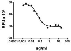 Mouse KDR / VEGFR2 / FLK1 Protein (Recombinant)
