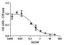 Human IL-10 Protein (Recombinant)