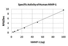 Human MMP1 Protein (Recombinant)