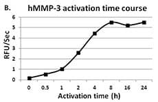 Human MMP3 Protein (Recombinant)