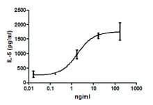 Mouse IL-33 Protein (Recombinant)