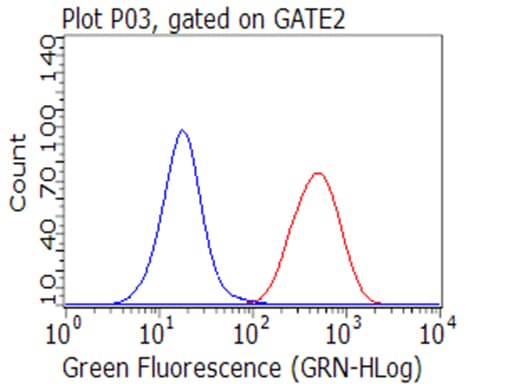 CD47 Antibody (clone B6H12, Carrier-free)