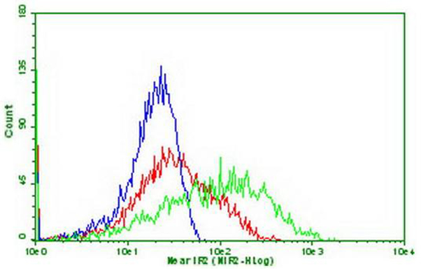 PDCD1 / CD279 / PD-1 Antibody (clone OTI9G6)