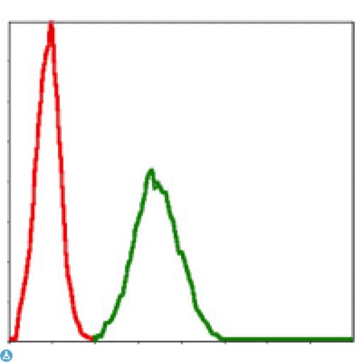 Monoclonal Mouse anti-Human BMI1 / PCGF4 Antibody (IHC, IF, WB)
