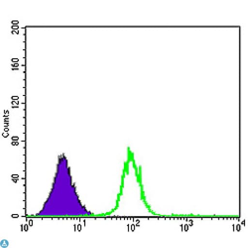 Monoclonal Mouse anti-Human CDK5 Antibody (IHC, IF, WB)