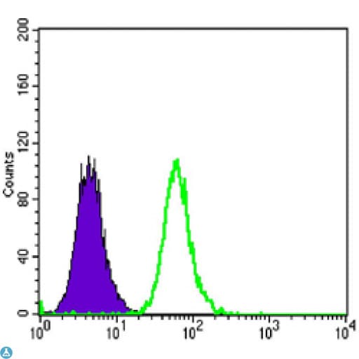 Monoclonal Mouse anti-Human DKK3 Antibody (WB)