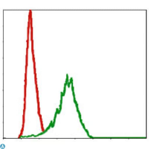 Monoclonal Mouse anti-Human DLK1 / Pref-1 Antibody (IF, WB)