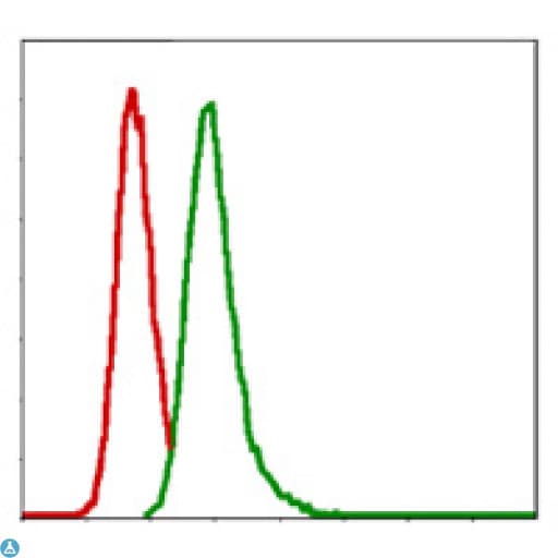 Monoclonal Mouse anti-Human G6PD Antibody (IHC, WB)