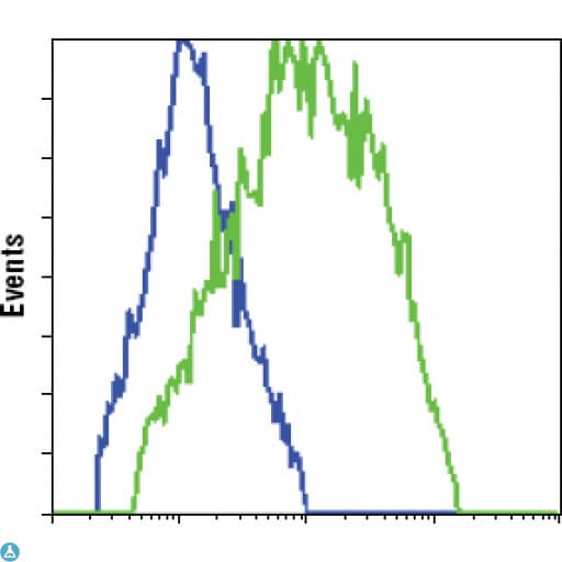 GFP Antibody
