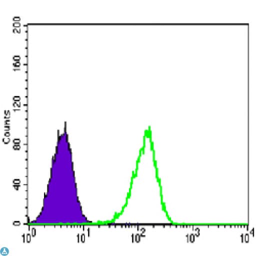 Monoclonal Mouse anti-Human PRMT4 / CARM1 Antibody (IHC, IF, WB)