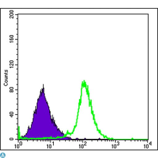 Monoclonal Mouse anti-Human RBP4 Antibody (IHC, IF, WB)