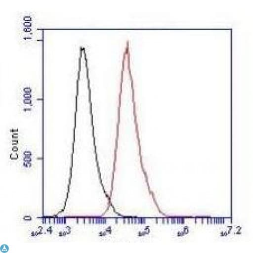 Monoclonal Mouse anti-Human SMAD5 Antibody (IF, WB)