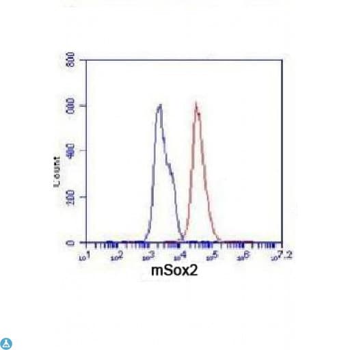 Monoclonal Mouse anti-Human SOX2 Antibody (WB)