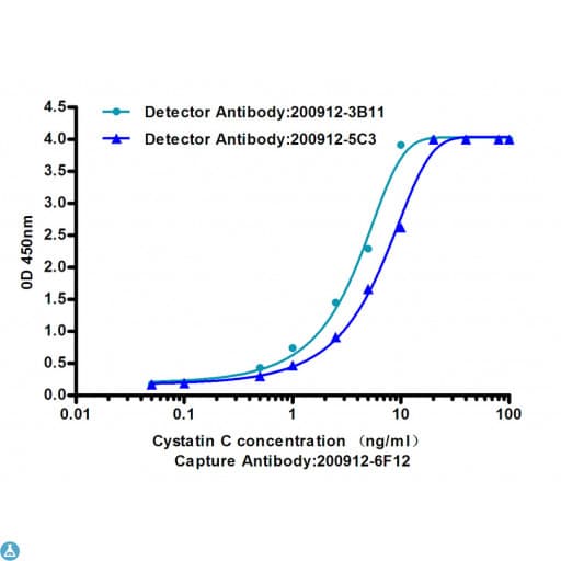 Monoclonal Mouse anti-Human CST3 / Cystatin C Antibody (WB)