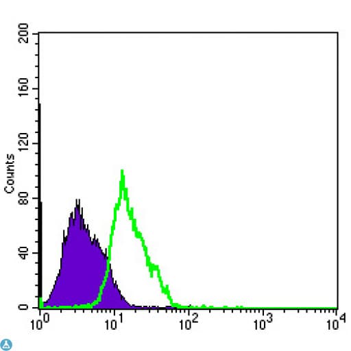 Monoclonal Mouse anti-Human MSI1 / Musashi 1 Antibody (WB)