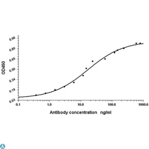 ALB / Serum Albumin Antibody