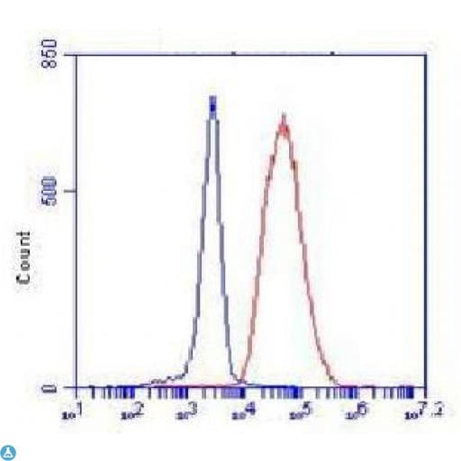 Monoclonal Mouse anti-Human CHD3 Antibody (IHC, IF, WB)