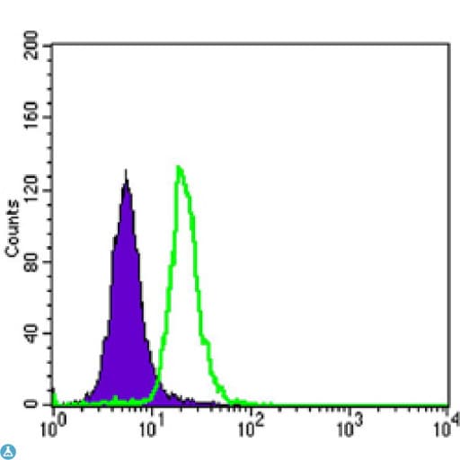 Monoclonal Mouse anti-Human SCGB2A2 / Mammaglobin A Antibody (IHC, IF, WB)