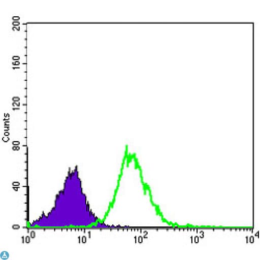 Monoclonal Mouse anti-Human MMP1 Antibody (IHC, IF, WB)