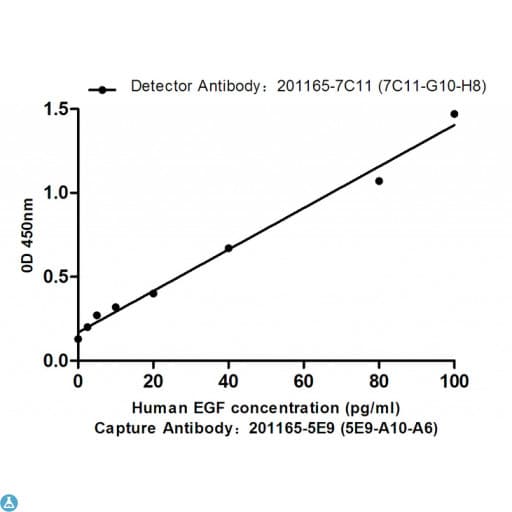 Monoclonal Mouse anti-Human EGF Antibody (WB)