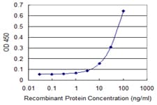 RING1 Antibody (clone 2B3)