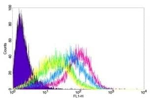 CD44 Antibody (clone 156-3C11)