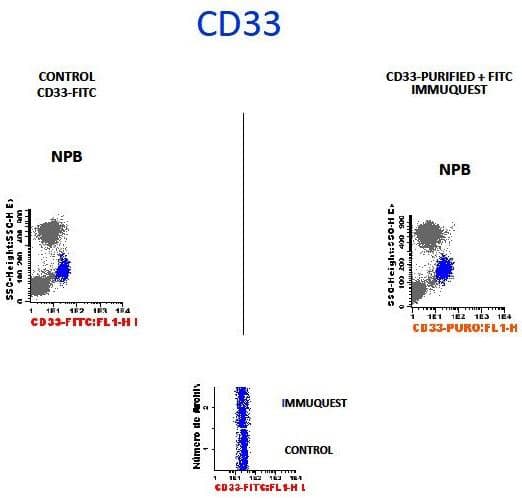 Monoclonal Mouse anti-Human CD33 Antibody (clone WM53, IHC)