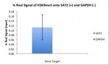 Histone H3 Antibody (clone 6F12-H4)
