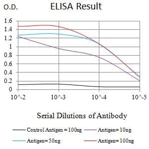 Monoclonal Mouse anti-Human PCK2 / PEPCK Antibody (clone 3D3D9, IHC, WB)