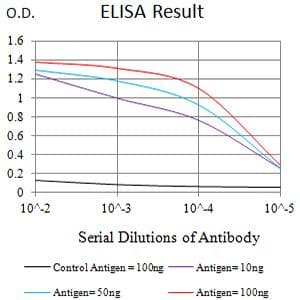 Monoclonal Mouse anti-Human CD46 Antibody (clone 1A5A5, IHC, WB)
