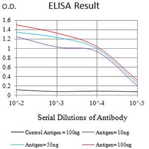 Monoclonal Mouse anti-Human CD46 Antibody (clone 5A8C11, WB)