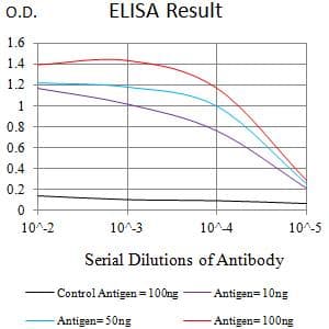 Monoclonal Mouse anti-Human JAM2 Antibody (clone 7E4C5, WB)