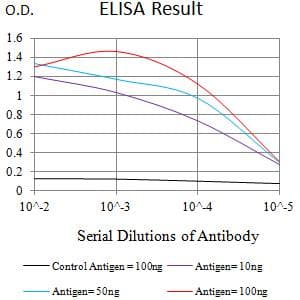 BCAM / CD239 Antibody (aa32-197, clone 5C5A6)