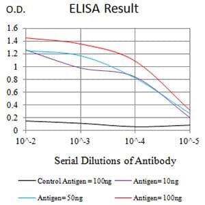 B3GAT1 Antibody (clone 3F6D6)
