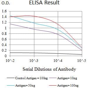Monoclonal Mouse anti-Human JAG1 / Jagged 1 Antibody (clone 7C7H2, WB)